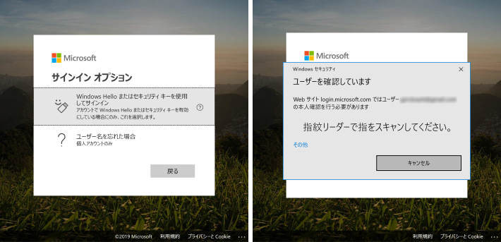 マイクロソフトが提供するWindows Helloまたはセキュリティキーでログインする方法：（左）サインインオプション。（右）認証画面。